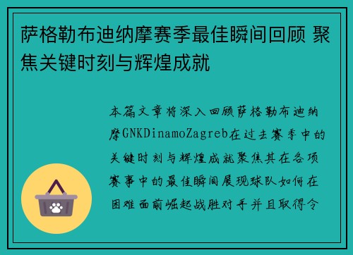 萨格勒布迪纳摩赛季最佳瞬间回顾 聚焦关键时刻与辉煌成就
