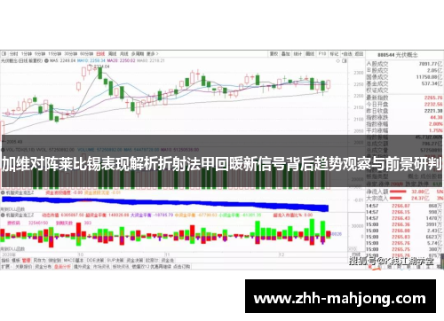 加维对阵莱比锡表现解析折射法甲回暖新信号背后趋势观察与前景研判